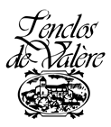 L’Enclos de Valère